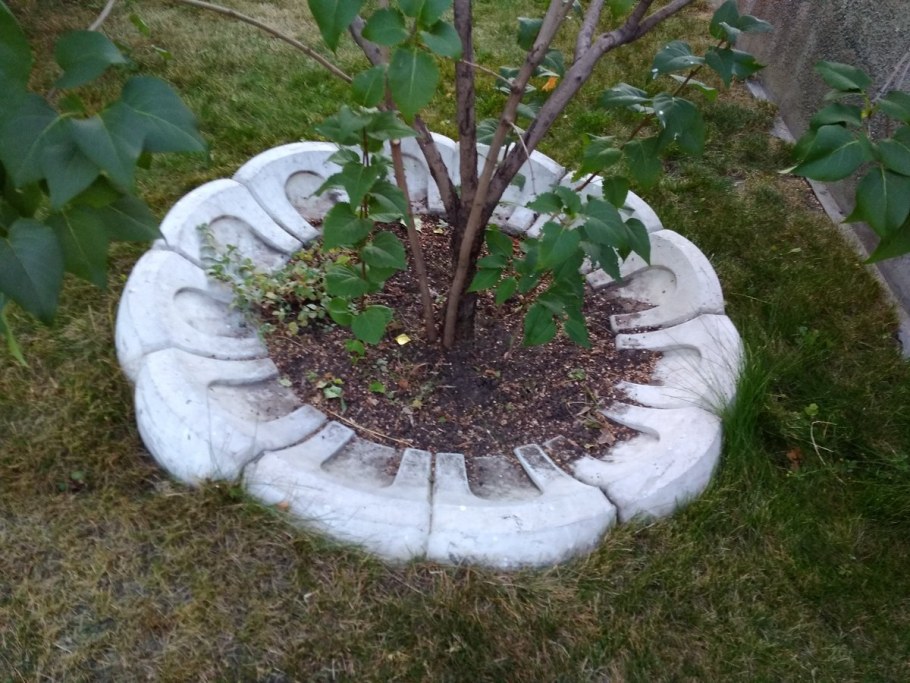 Приствольные круги для кустарников