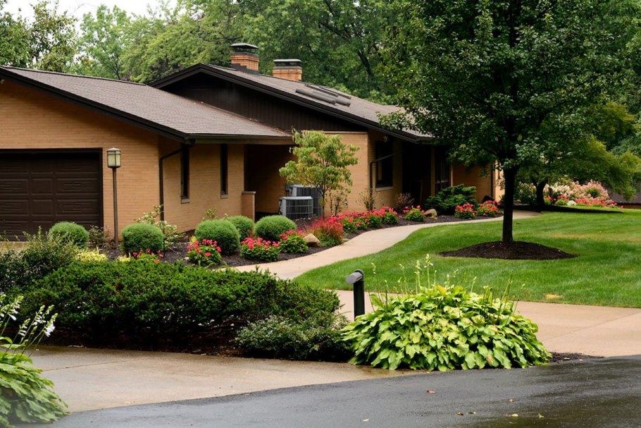 Ландшафт дачного участка