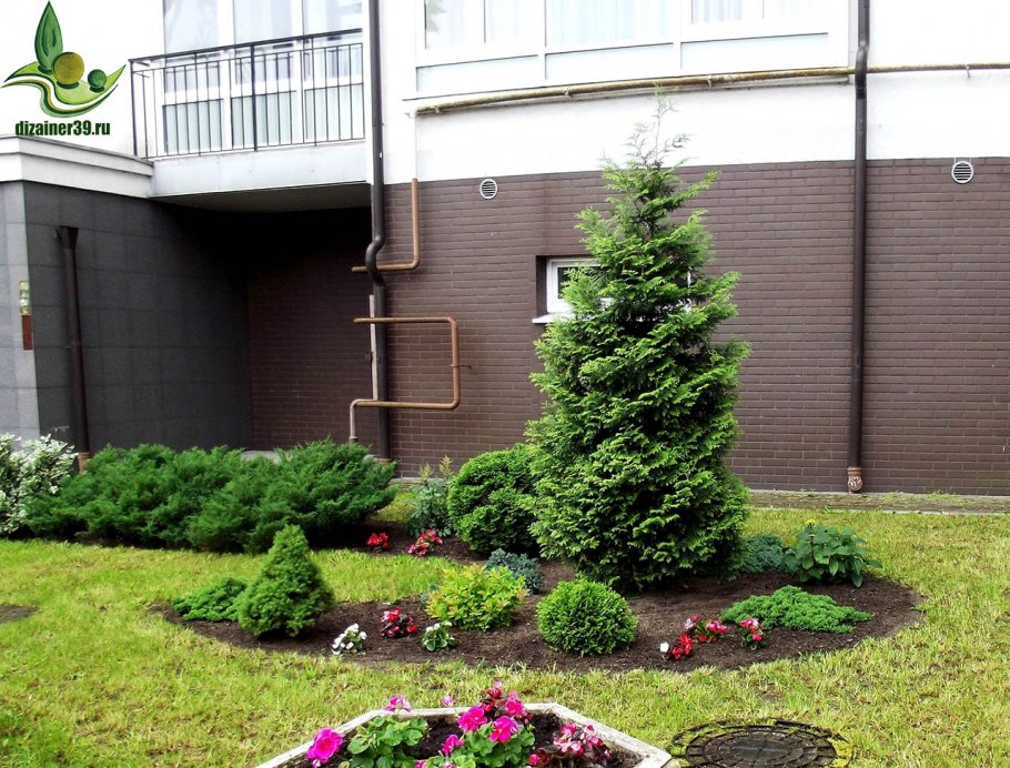 Дорожки на участке загородного дома