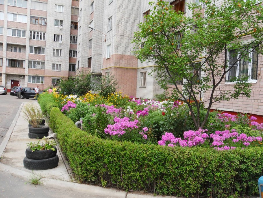 Ландшафт входной зоны на участке