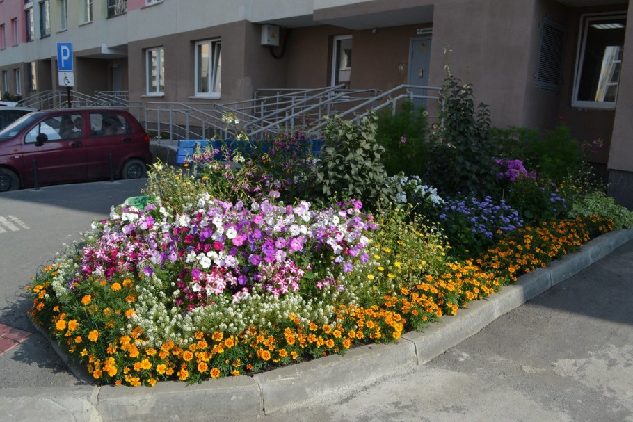 Озеленение и благоустройство участка