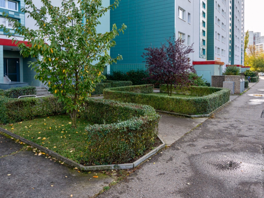 Клумбы возле подъезда
