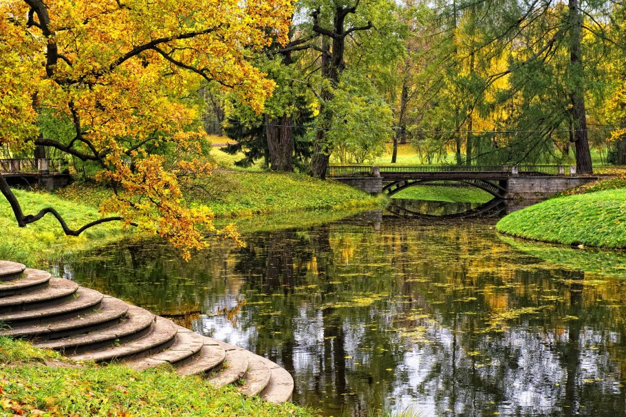 Пейзаж Петербургский парк