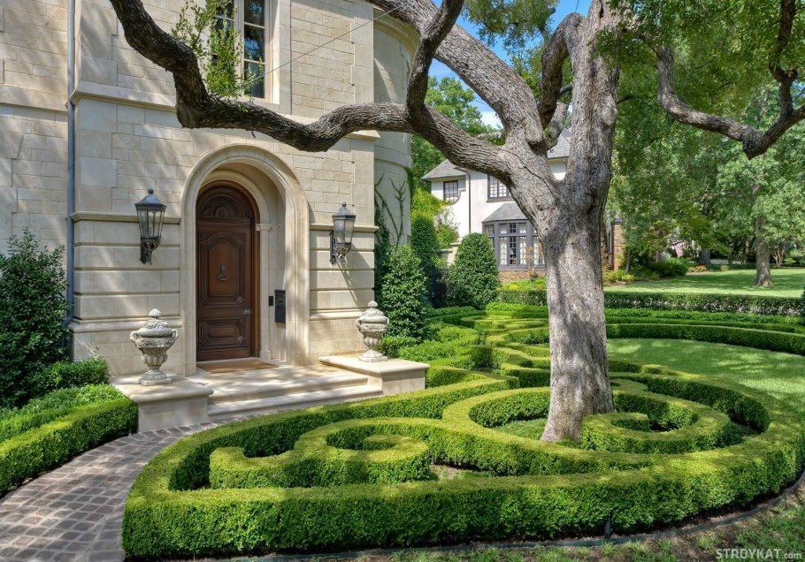 Самшит в классическом стиле ландшафта