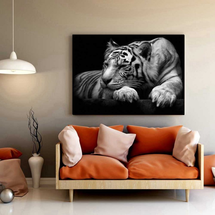 Roberto Cavalli Home 4