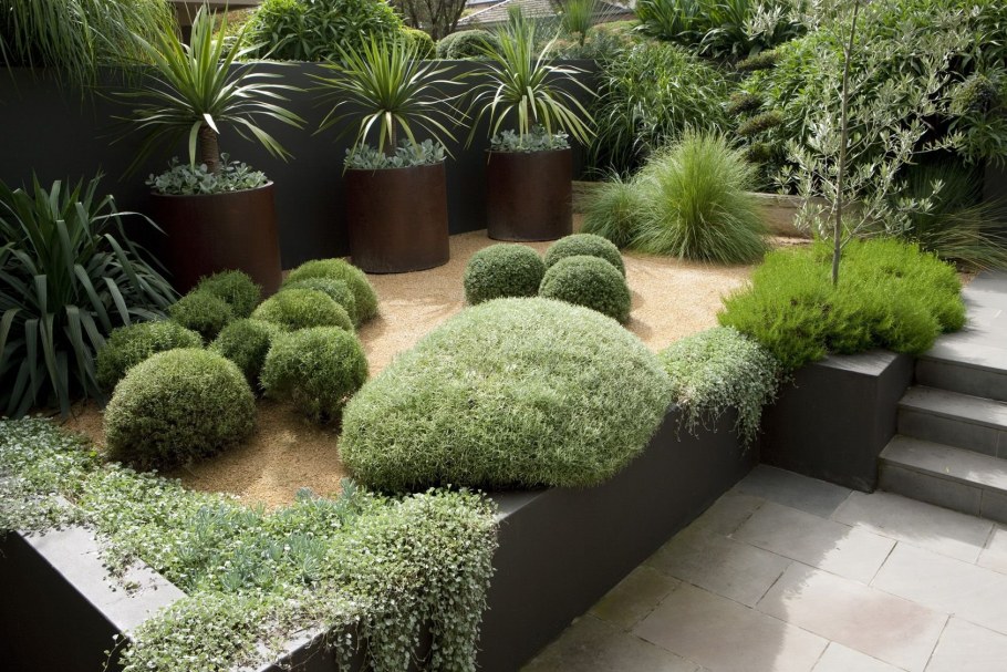 Фитопластика в саду