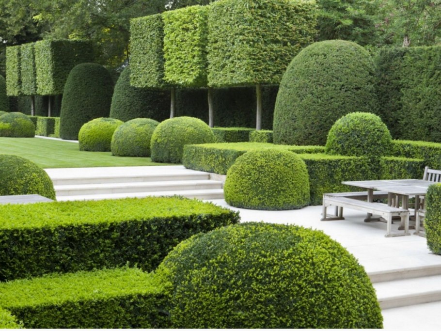 Живая изгородь французский парк Палисад