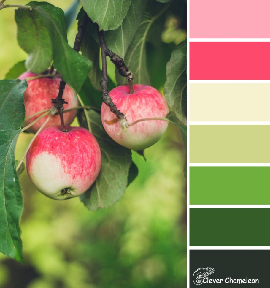 Яблочный цвет сочетания