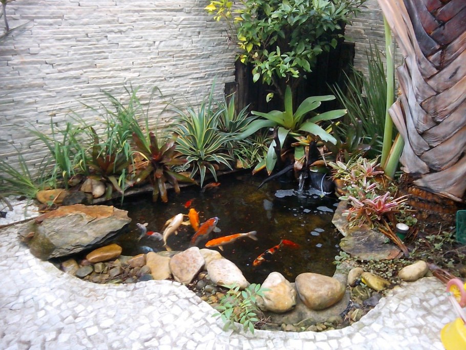 Зимний сад с прудиком