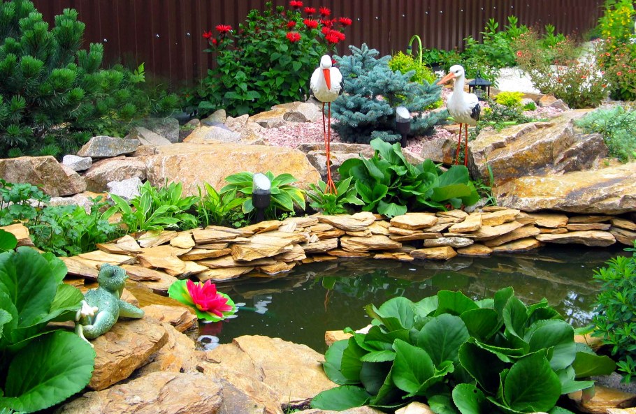 Хоста у прудика