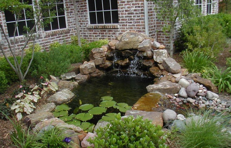 Пруд на даче