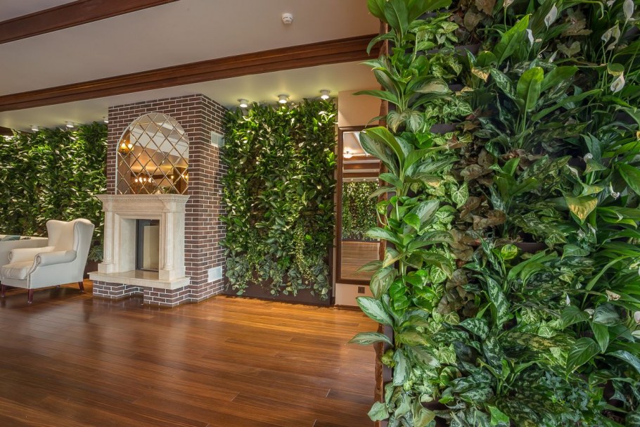 Фитостена в интерьере