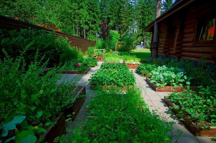 Огород на участке