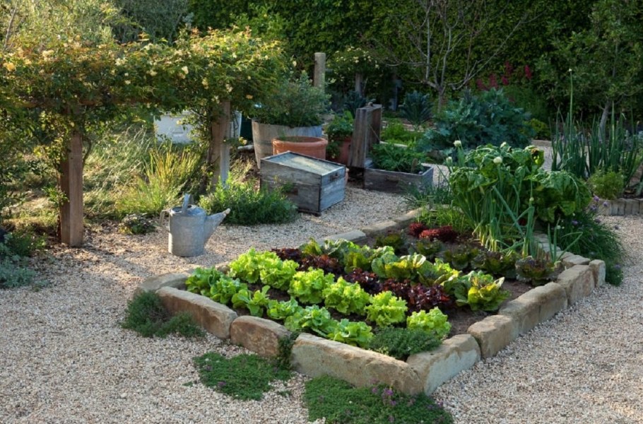 Ландшафт сада и огорода