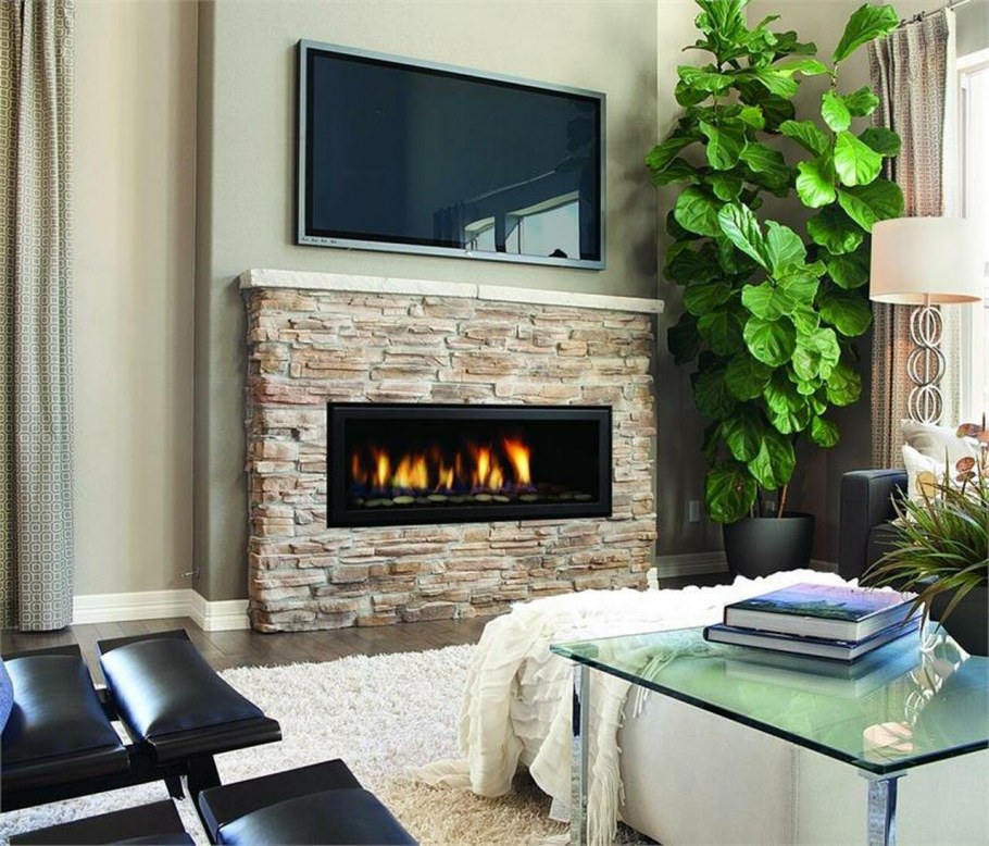 Биокамин Planika Lucent