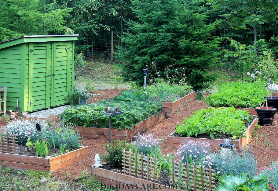 Планировка огорода