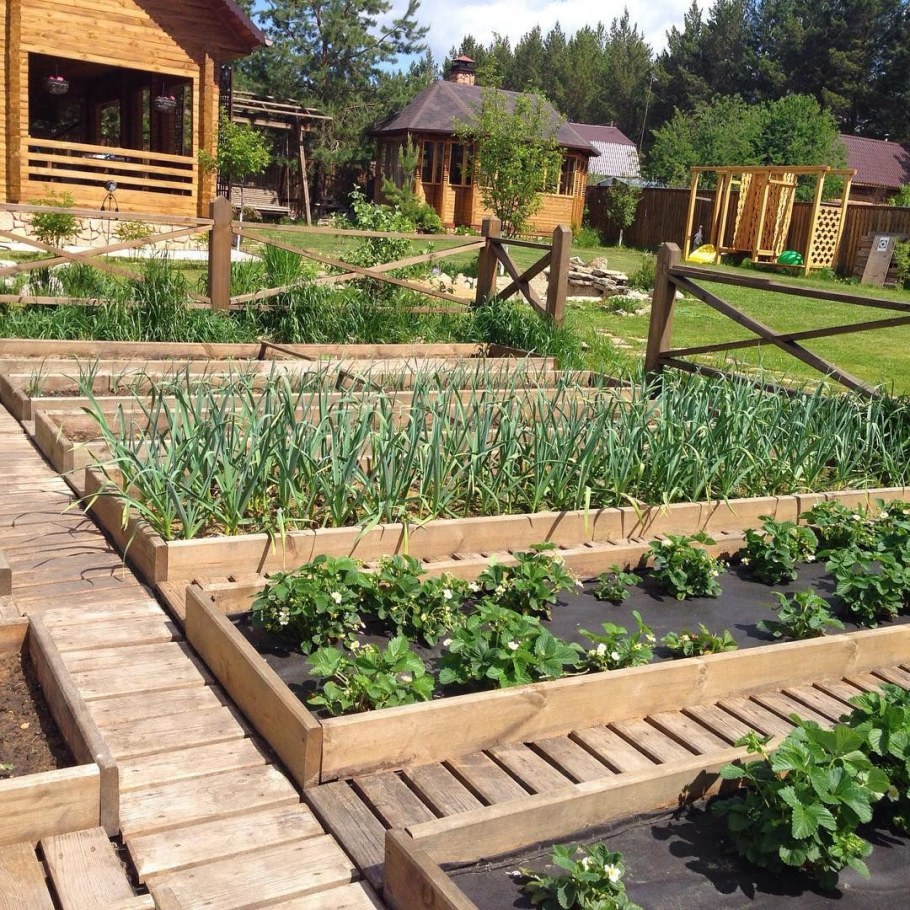 Обустройство огорода