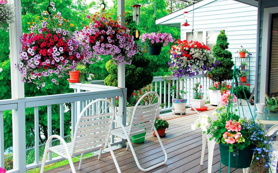 Петуньи в кашпо на веранде