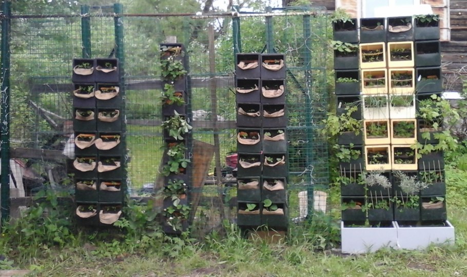 Высокие грядки на даче