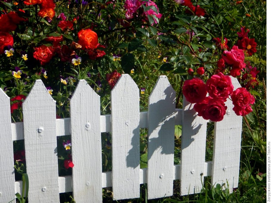 Ящик для овощей из Fix Price