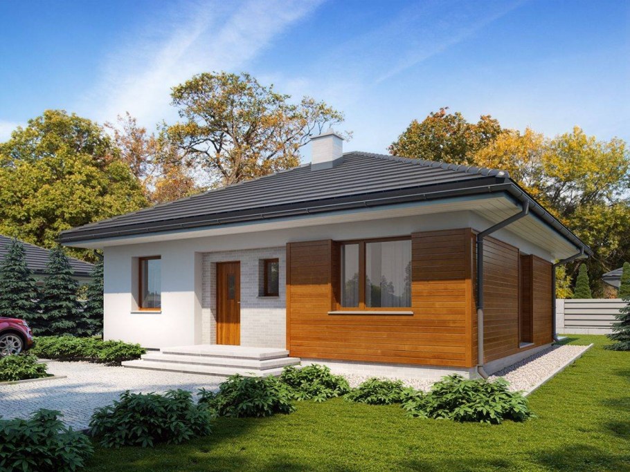 Одноэтажный дом Тини Хаус