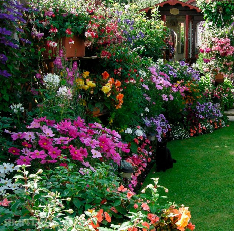Вечноцветущий миксбордер