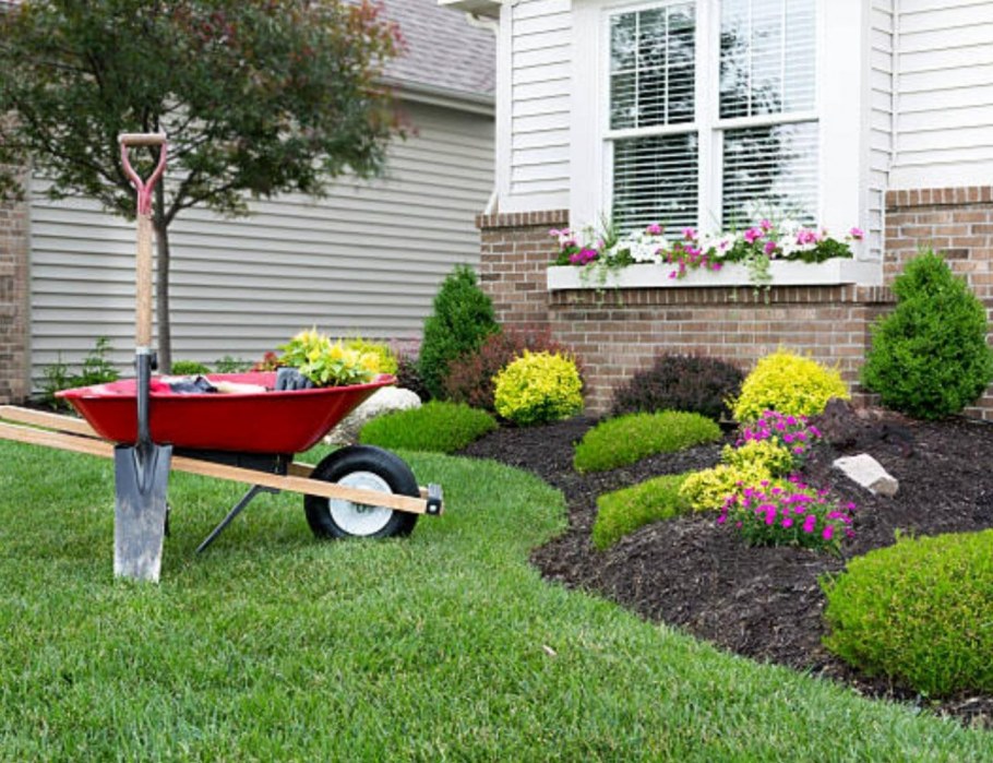 Клумба на газоне