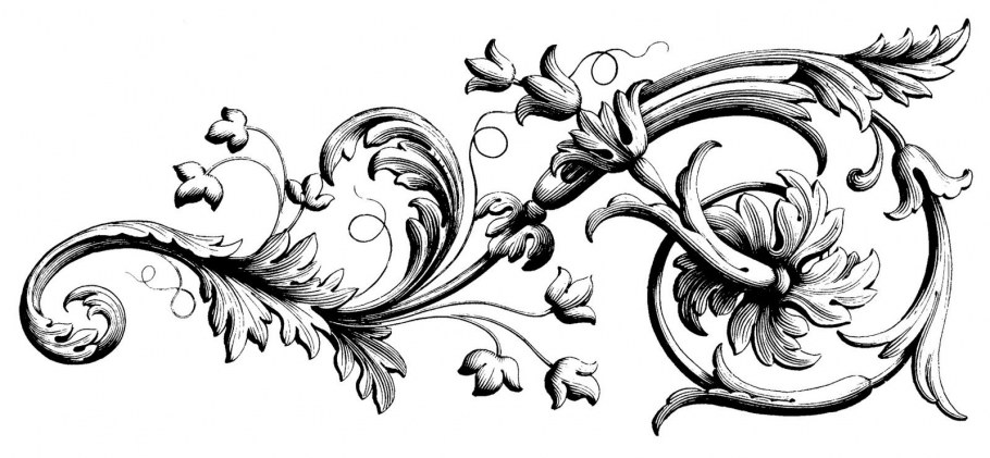 Акантовые листья в орнаменте эпохи Возрождения