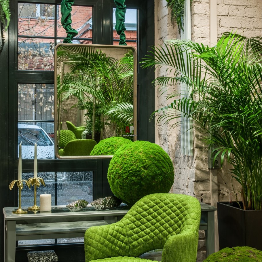 Цветы в интерьере