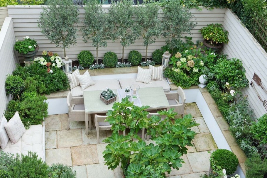 Озеленение патио зона