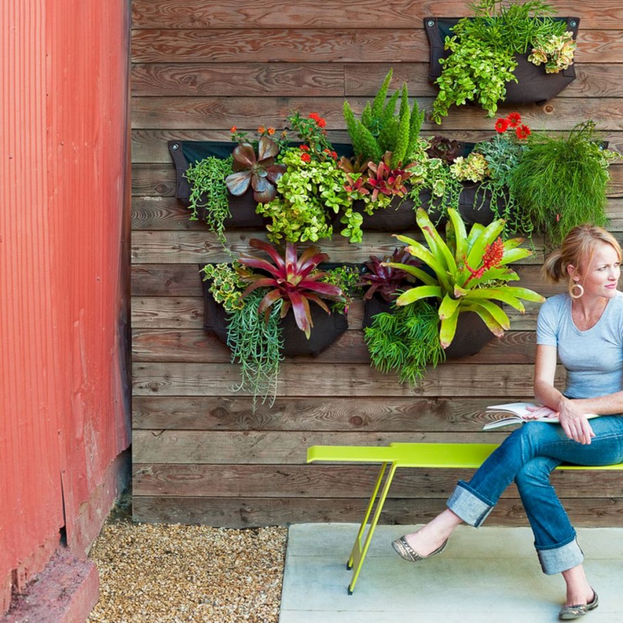 Цветы на стене на даче