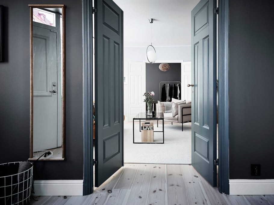 Темные двери в интерьере