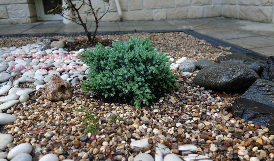 Отсыпка Каспийской Галькой хвойников