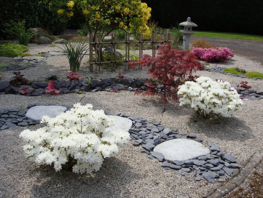 Рокарий в японском саду