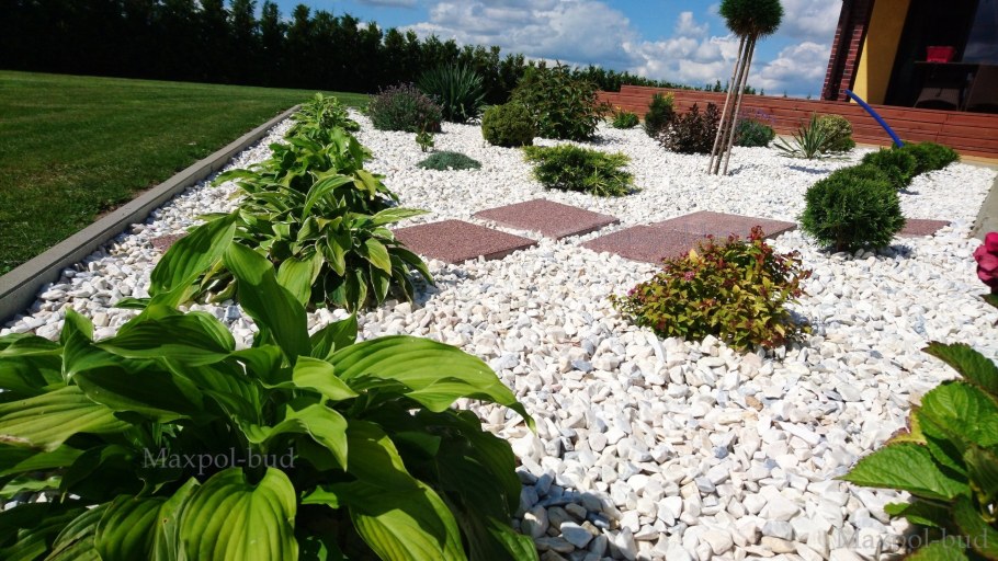 Хоста мульчирование корой