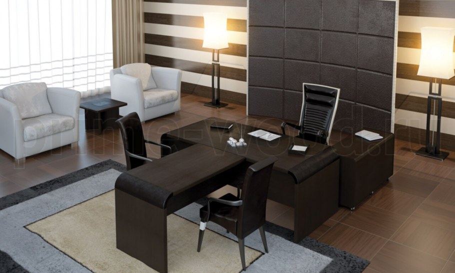 Кабинет руководителя Вегас Дефо