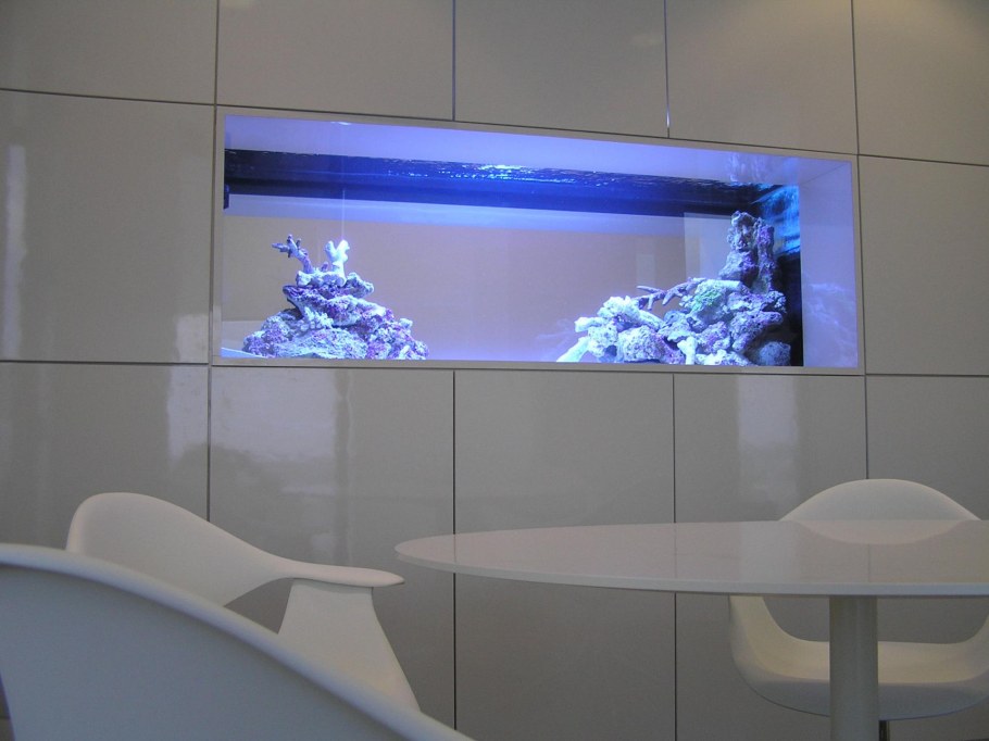 Аквариум встроенный в шкаф
