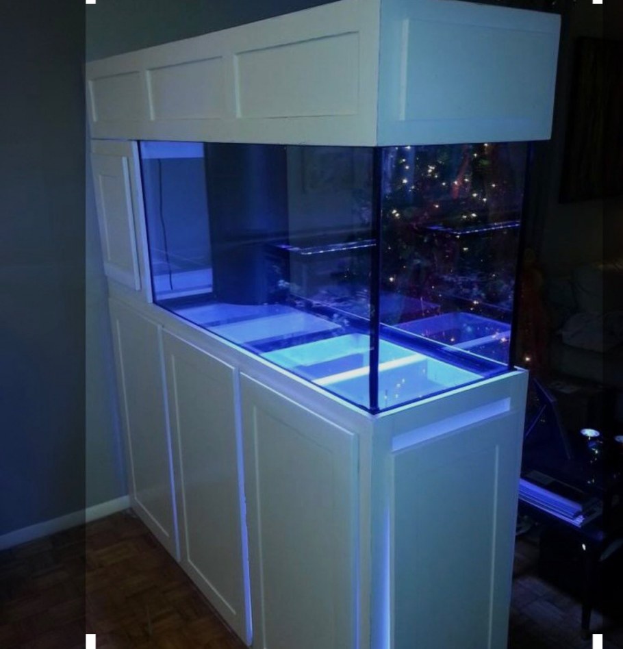 Небольшой аквариум в интерьере