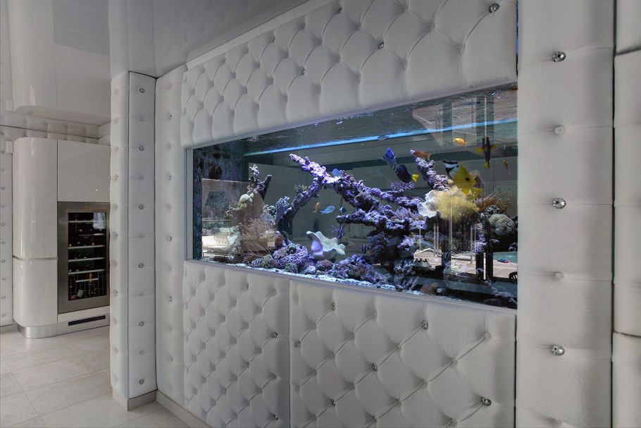 Морской аквариум в стене