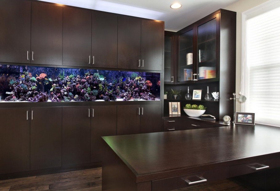 Аквариум встроенный в шкаф