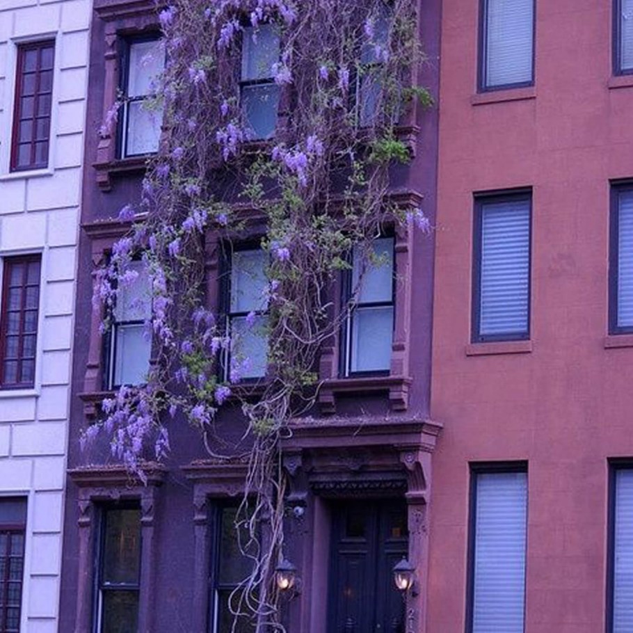 Фиолетовое здание