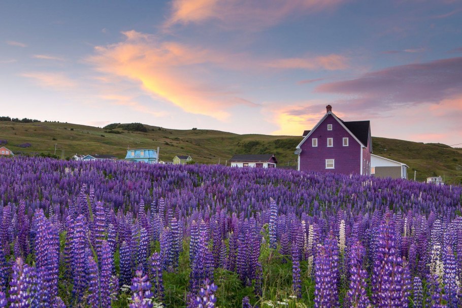 Красивый сиреневый домик