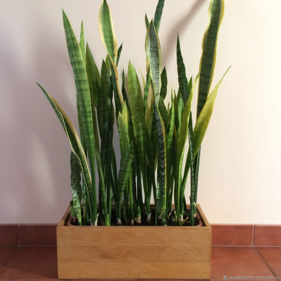 Длинный горшок для цветов