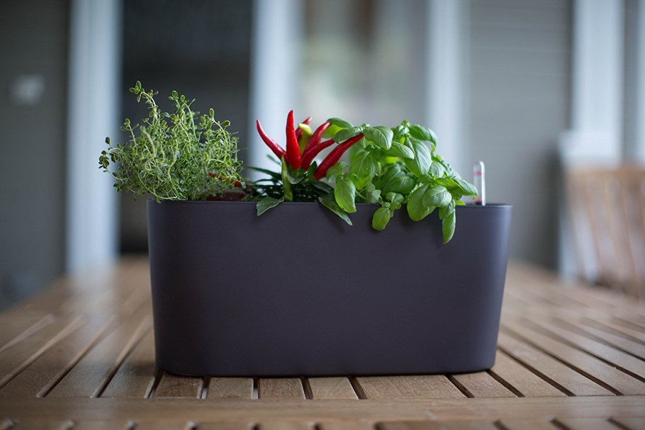 Кашпо Johanson Design 2017