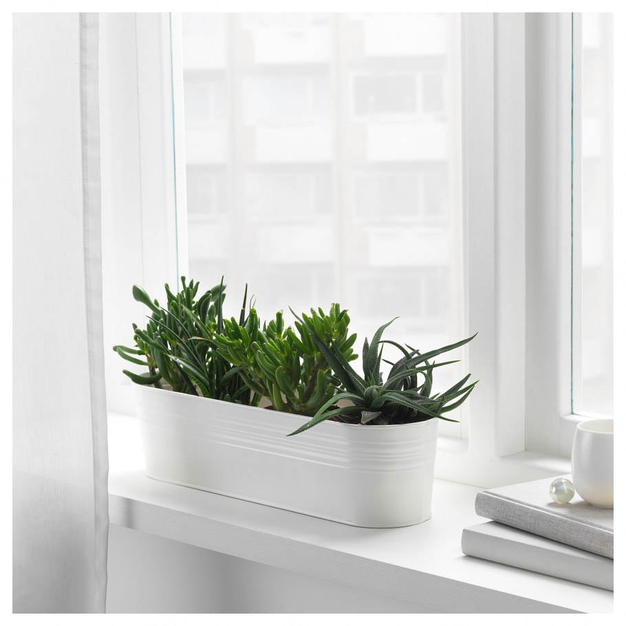 Длинный горшок для цветов