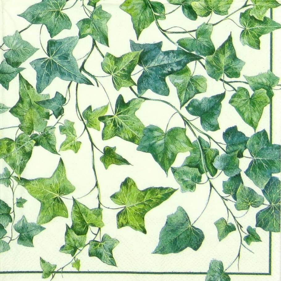 Плющ паттерн