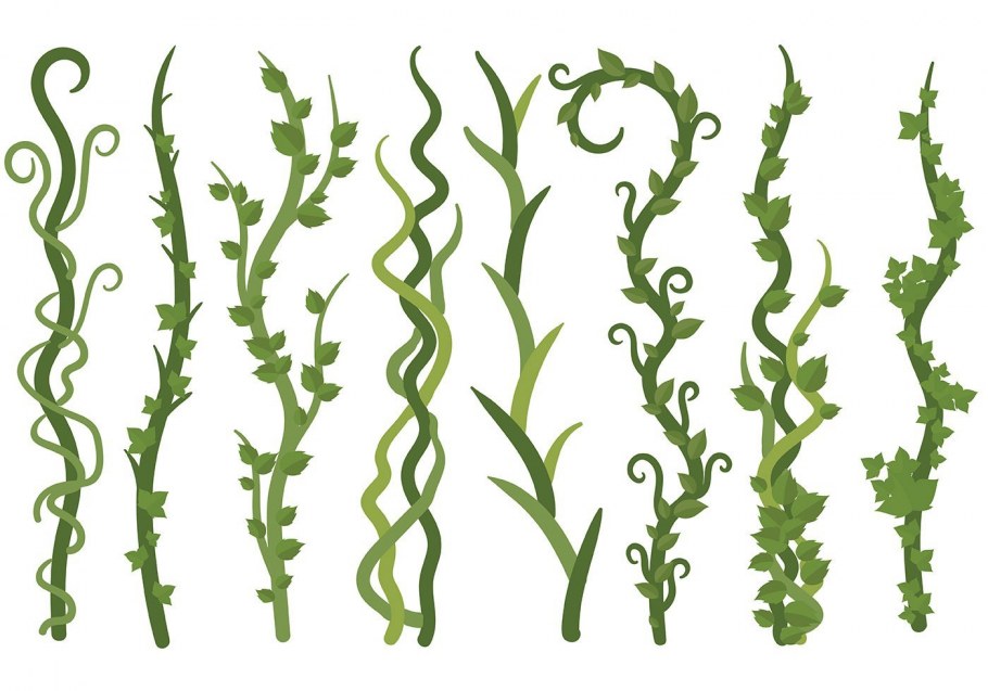 Плющ паттерн