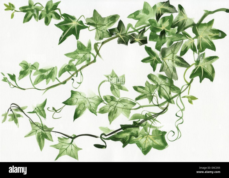 Орнамент Модерн