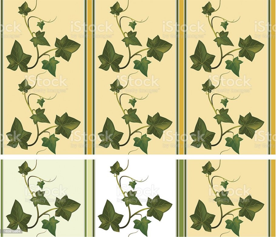 Плющ на стене акварель