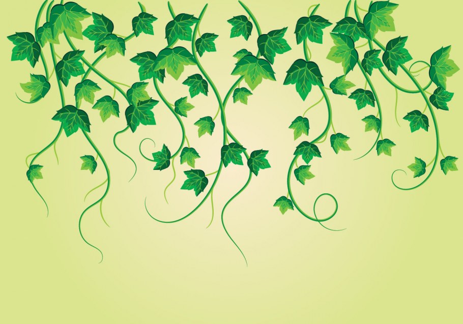 Плющ паттерн